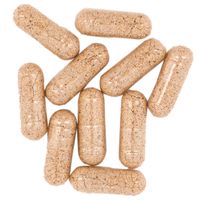 Terranova Probiotic Complex with Prebiotics